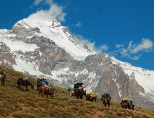 Aconcagua Ameghino Valley Upper Guanacos Traverse with porters Full Itinerary