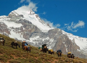 Aconcagua Polish Glacier via Ameghino Valley with traverse