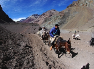 Aconcagua Polish Glacier via Ameghino Valley with traverse