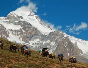Aconcagua Polish Glacier via Ameghino Valley with traverse Full Itinerary