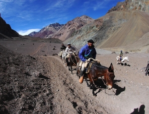 Aconcagua Polish Glacier via Ameghino Valley with traverse Full Itinerary